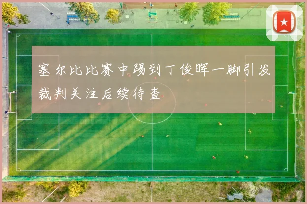 塞尔比比赛中踢到丁俊晖一脚引发裁判关注后续待查