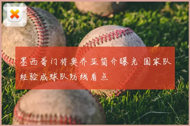 墨西哥门将奥乔亚简介曝光 国家队经验成球队防线看点